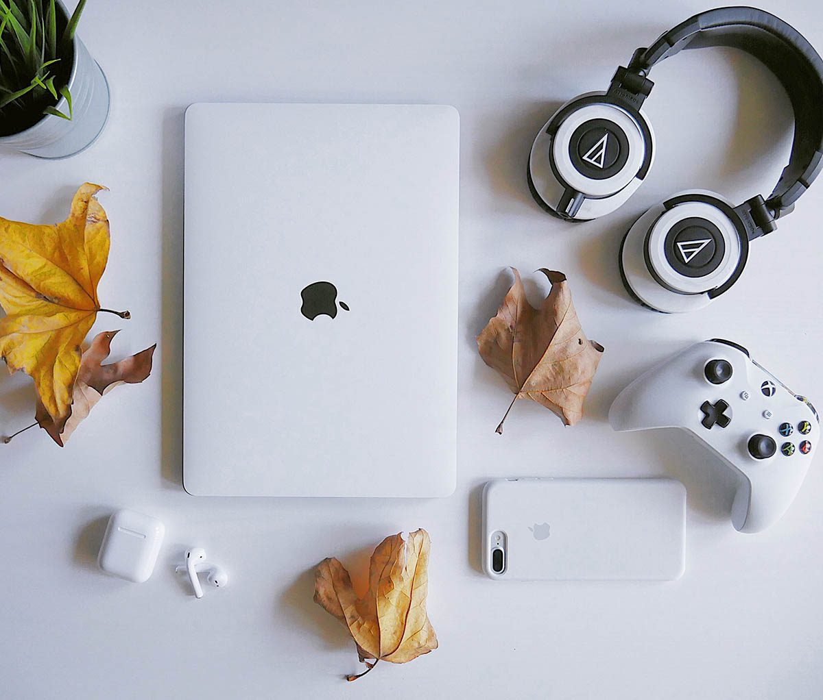 milantium_home_default-blog4