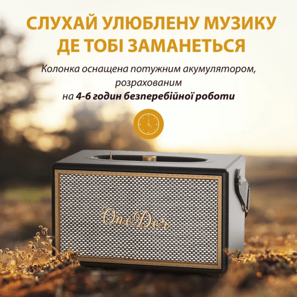 Міні колонка для телефона бездротова акустика портативна колонка з fm радіо Чорний_D6B_Milantium_2