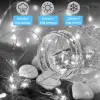 Гірлянда світлодіодна кінський хвіст GarlandoPro 200LED Роса 2м 10 ліній Білий 1733011W_1733011W_Milantium_3