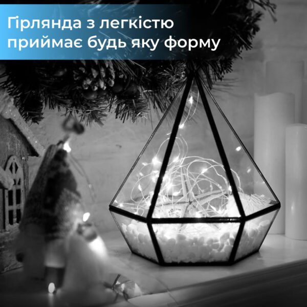 Гірлянда світлодіодна кінський хвіст GarlandoPro 200LED Роса 2м 10 ліній Білий 1733011W_1733011W_Milantium_4