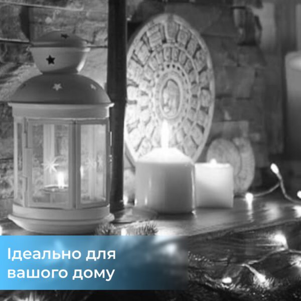 Гірлянда світлодіодна кінський хвіст GarlandoPro 200LED Роса 2м 10 ліній Білий 1733011W_1733011W_Milantium_5