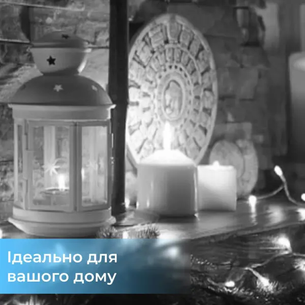 Гірлянда світлодіодна кінський хвіст GarlandoPro 200LED Роса 2м 10 ліній Білий 1733011W_1733011W_Milantium_5