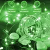 Гірлянда світлодіодна на батарейках GarlandoPro 100LED 10 метрів мідний дріт світлодіодна гірлянда Зелений_1733031GR_Milantium_3