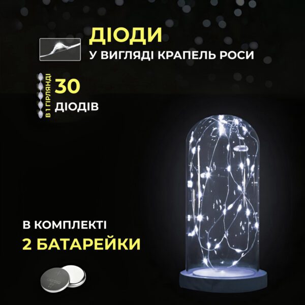 Світлодіодна гірлянда Роса 3 метри на батарейках 30 led нитка на зеленому дроті біла 30L3MGW_30L3MGW_Milantium_4