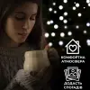 Гірлянда нитка світлодіодна GarlandoPro 171 LED 16м 8 режимів гірлянда новорічна Білий W300LEDW_W300LEDW_Milantium_5
