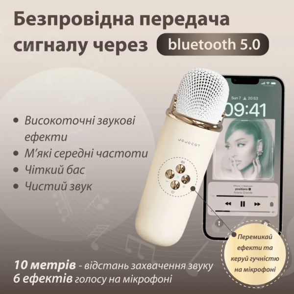 Колонка портативная с микрофоном C-20 BT/TF/USB/FM 5 Вт Рожевий_C20BE_Milantium_3