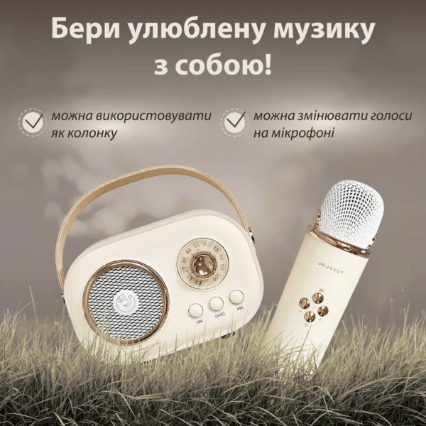 Колонка портативная с микрофоном C-20 BT/TF/USB/FM 5 Вт Рожевий_C20BE_Milantium_4
