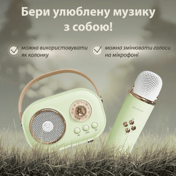 Колонка портативная с микрофоном C-20 BT/TF/USB/FM 5 Вт Зелений C20GR_C20GR_Milantium_3