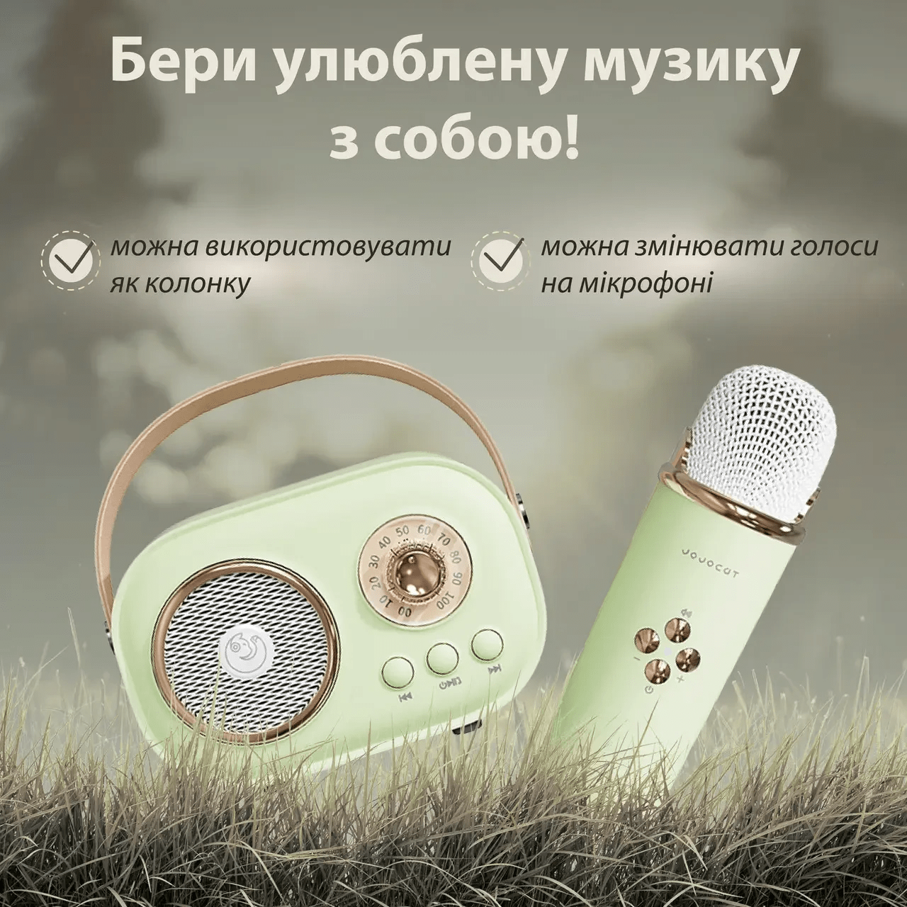 Колонка портативна з мікрофоном C-20 BT/TF/USB/FM 5 Вт Зелений C20GR_C20GR_Milantium_3