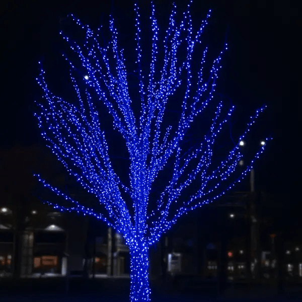 Гірлянда Нитка вулична 30 (м) 300 LED чорний провід Синій CF300L30MBBL – купити в Україні недорого